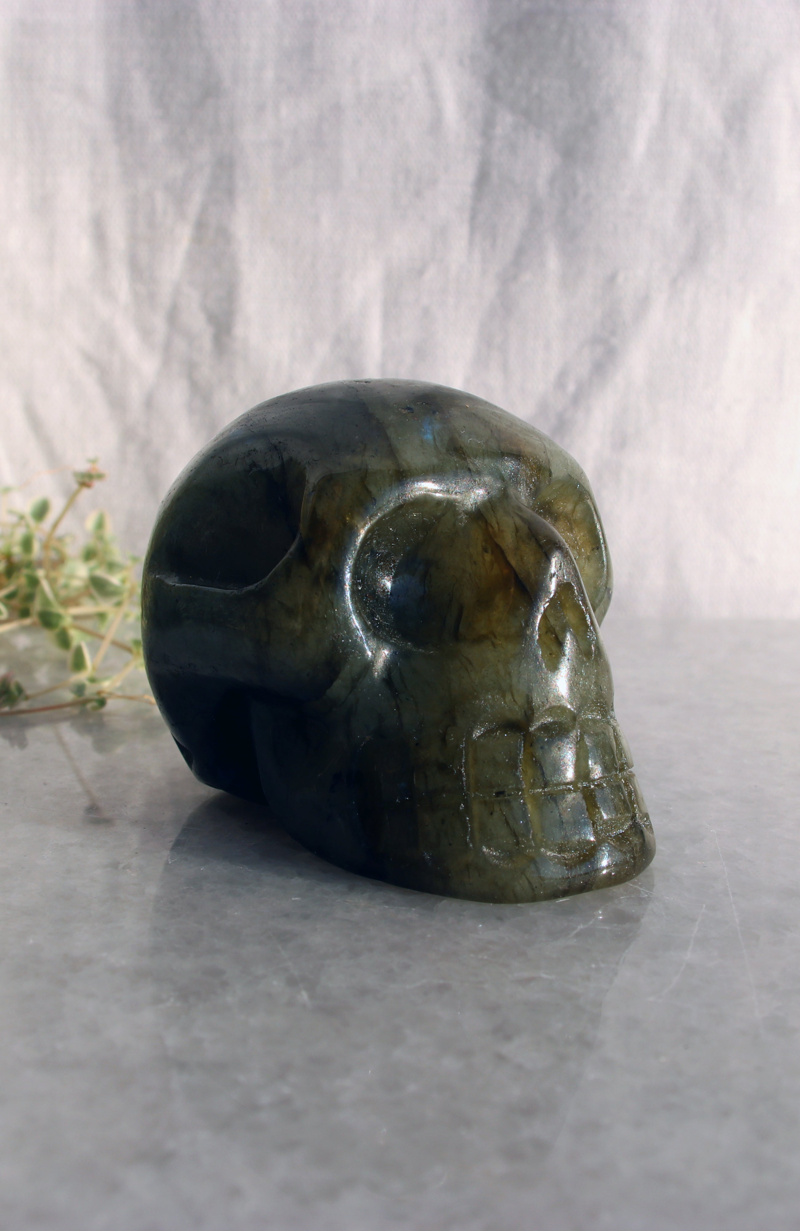 Labradorite Skull